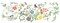 Nature's Vignette Cake Stencil | C431 by Designer Stencils | Cake Decorating Tools |